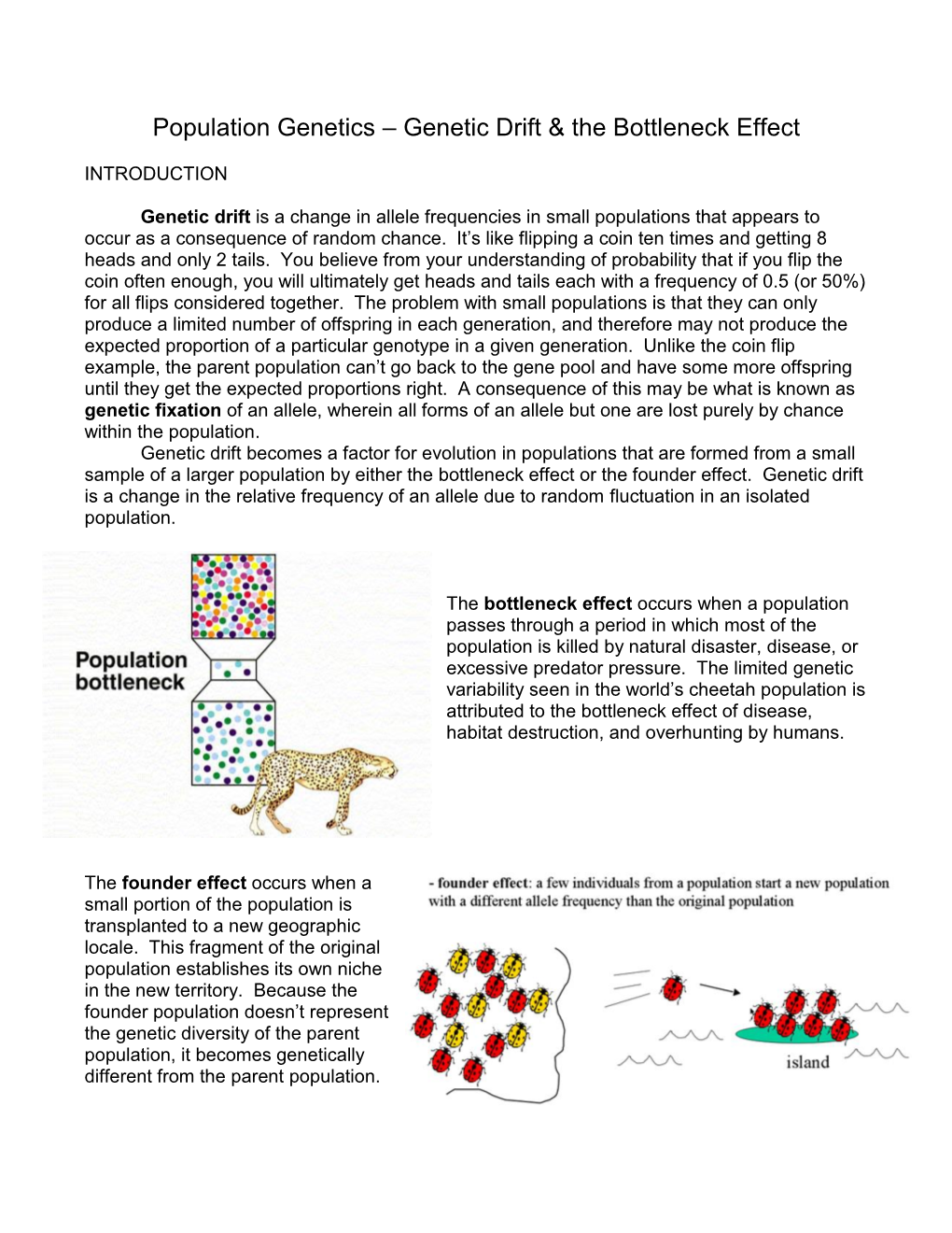 Population Genetics – Genetic Drift & the Bottleneck Effect