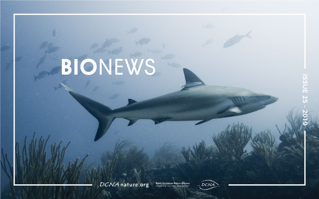 ISSUE 25 - 2019 Bionews BIONEWS ISSUE 25