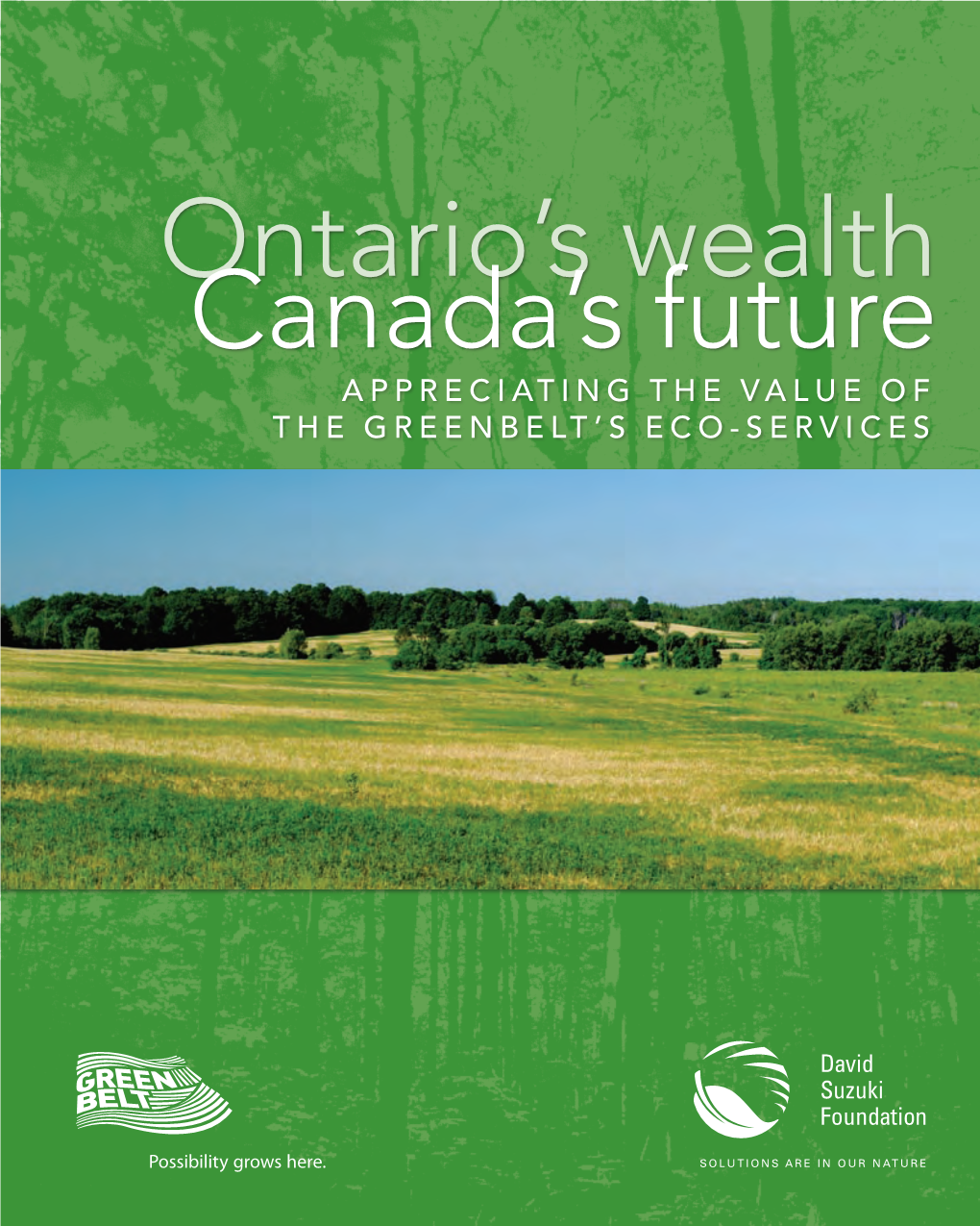 Ontario's Wealth, Canada's Future: Appreciating the Value of The