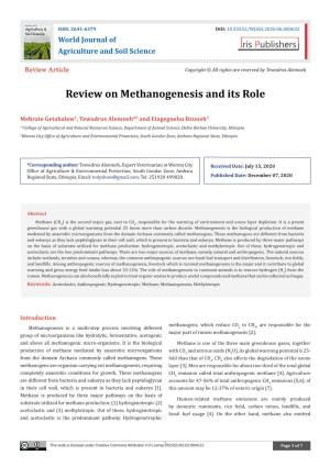 Review on Methanogenesis and Its Role