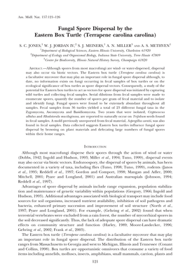 Fungal Spore Dispersal by the Eastern Box Turtle (Terrapene Carolina Carolina)