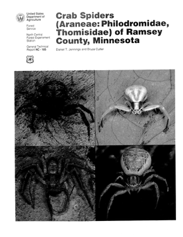 Crab Spiders Araneae: Philodroraidae, Thomisidae) of Ra Sey County, Minnesota