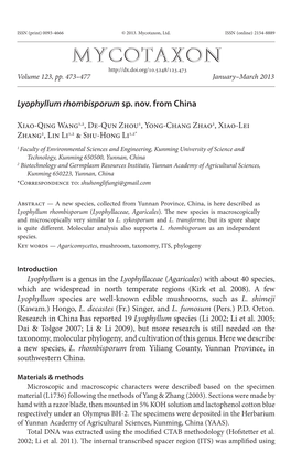 &lt;I&gt;Lyophyllum Rhombisporum&lt;/I&gt; Sp. Nov. from China