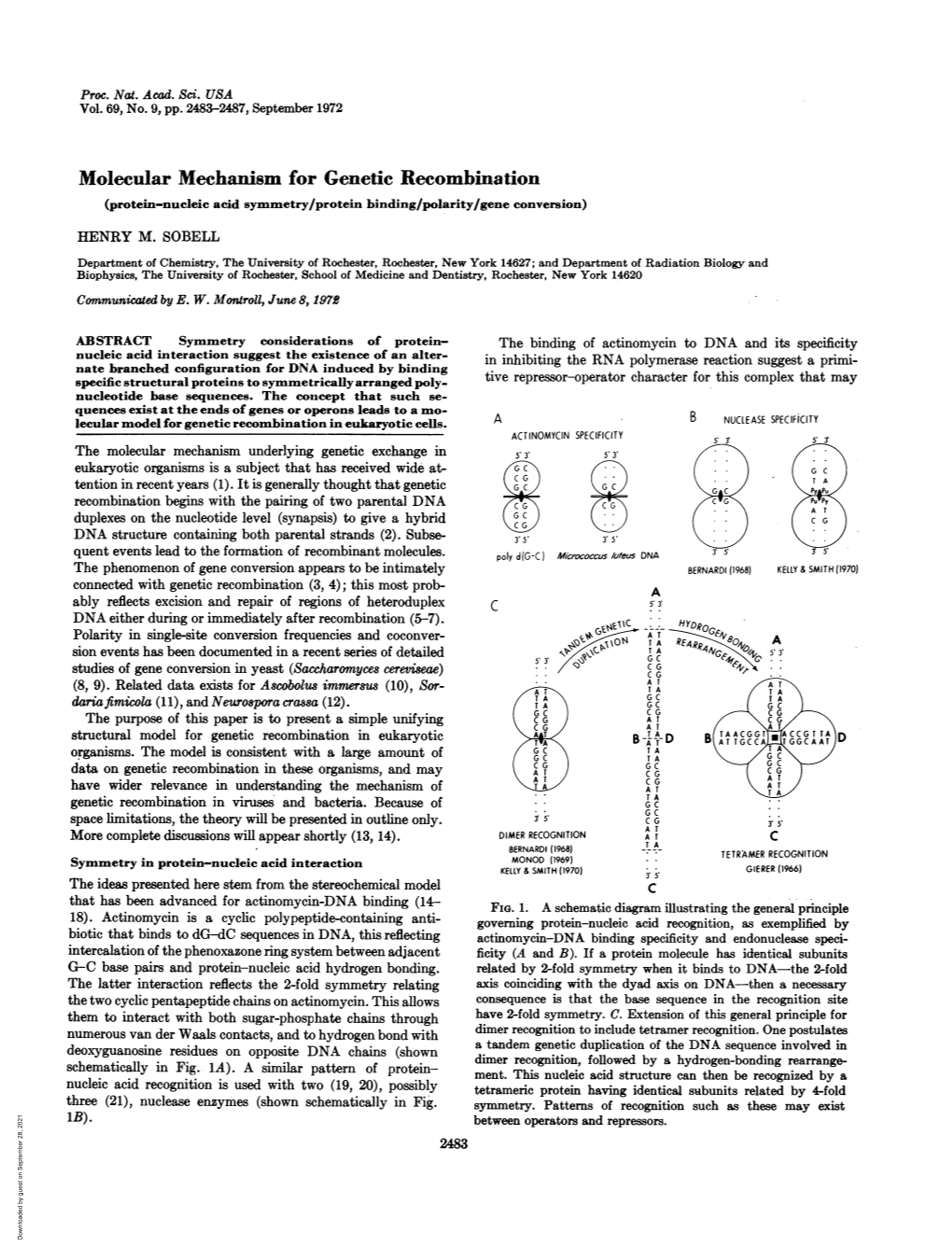 Molecular Mechanism for Genetic Recombination (Protein-Nucleic Acid Symmetry/Protein Binding/Polarity/Gene Conversion) HENRY M