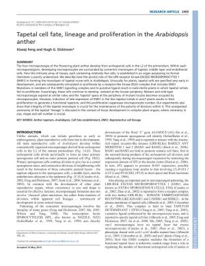 Tapetal Cell Fate, Lineage and Proliferation in the Arabidopsis Anther Xiaoqi Feng and Hugh G