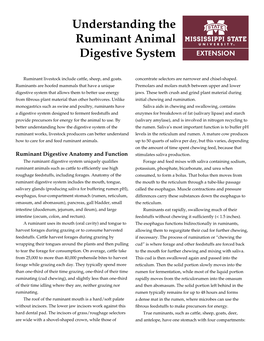 Understanding the Ruminant Animal Digestive System