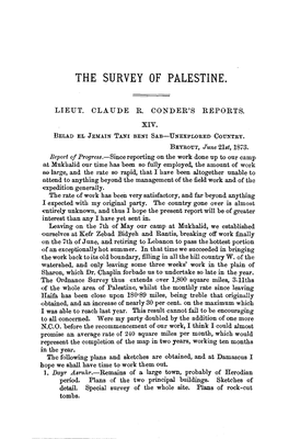 The Survey of Palestine