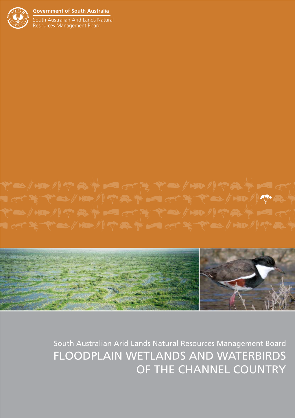 Floodplain Wetlands and Waterbirds of the Channel Country Floodplain Wetlands and Waterbirds of the Channel Country