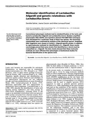 Molecular Identification of Lactobacillus Hilgardii and Genetic Relatedness with Lactobacillus Brevis