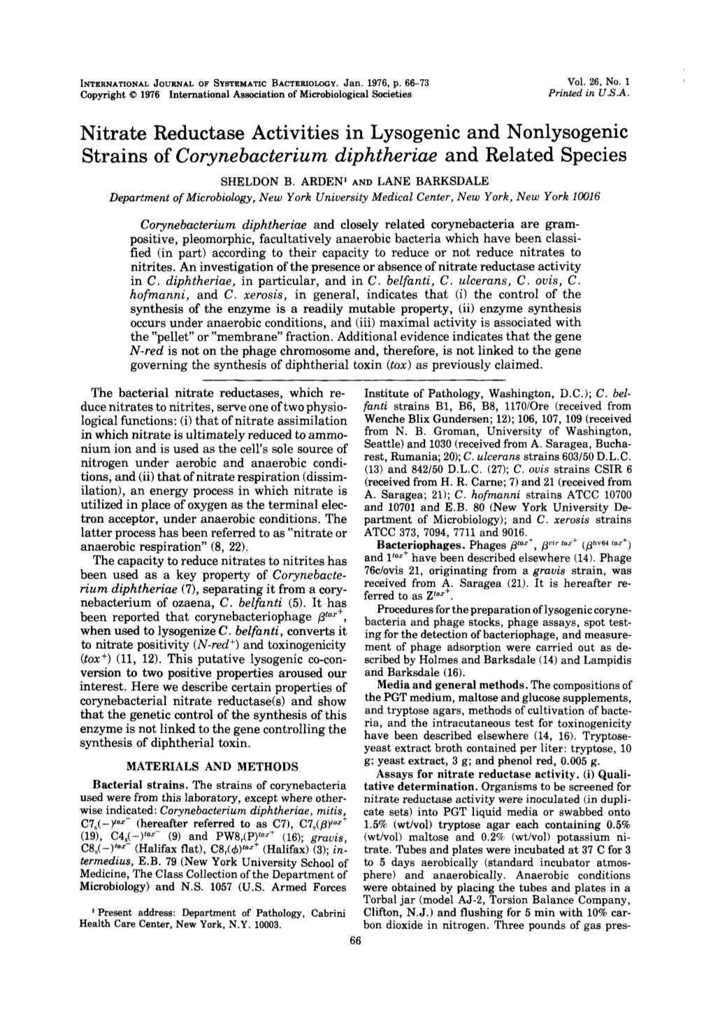 Nitrate Reductase Activities in Lysogenic and Nonlysogenic Strains of Corynebacterium Diphtheriae and Related Species