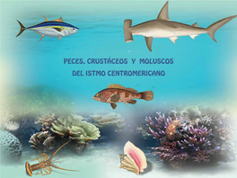 Peces, Crustaceos Y Moluscos Del Istmo Centroamericano