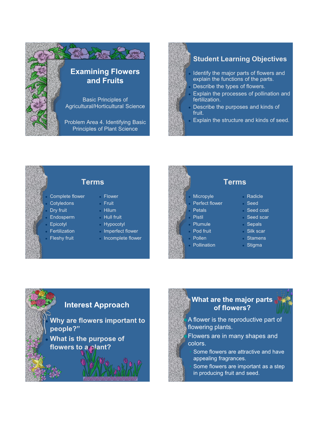 Examining Flowers and Fruits