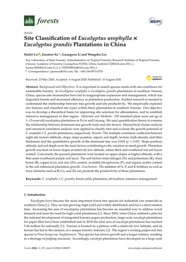 Site Classification of Eucalyptus Urophylla Eucalyptus Grandis Plantations in China