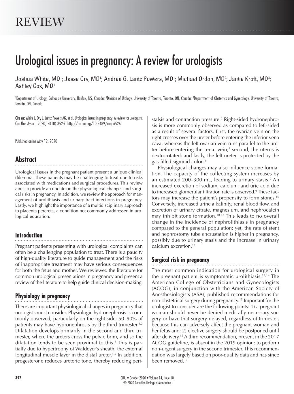 Urological Issues in Pregnancy: a Review for Urologists