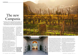 The New Campania Campania Is Italy’S Most Exciting Wine Region, Says Tom Maresca