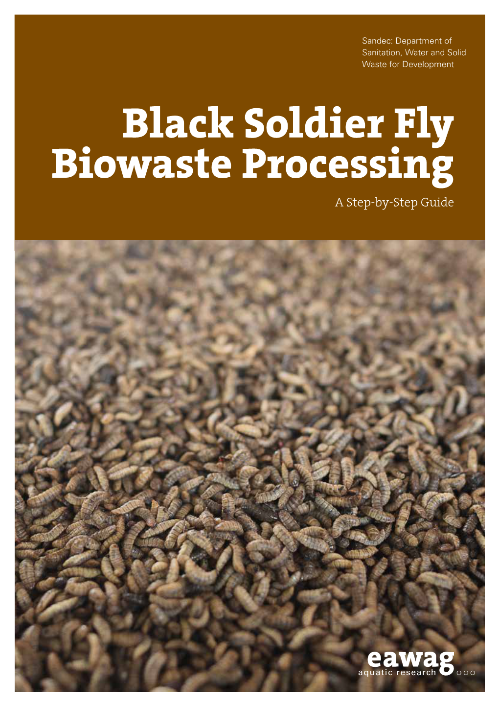 Black Soldier Fly Biowaste Processing a Step-By-Step Guide