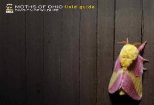 MOTHS of OHIO Field Guide DIVISION of WILDLIFE INTRODUCTION HOW to USE THIS GUIDE Text By: David J