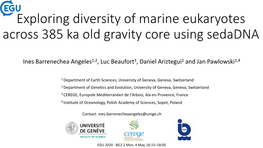 Exploring Diversity of Marine Eukaryotes Across 385 Ka Old Gravity Core Using Sedadna