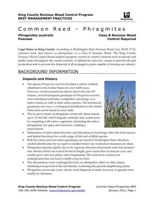 King County Best Management Practices for Common Reed
