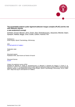 The Pyramidalis–Anterior Pubic Ligament–Adductor Longus Complex (PLAC) and Its Role with Adductor Injuries: a New Anatomical Concept