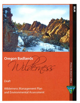 Oregon Badlands Wilderness Management Plan and Environmental Assessment