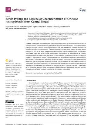 Scrub Typhus and Molecular Characterization of Orientia Tsutsugamushi from Central Nepal