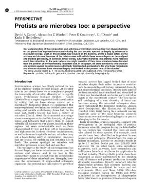Protists Are Microbes Too: a Perspective