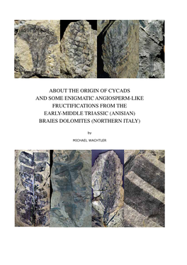 About the Origin of Cycads and Some Enigmatic Angiosperm-Like Fructifications from the Early-Middle Triassic (Anisian) Braies Dolomites (Northern Italy)