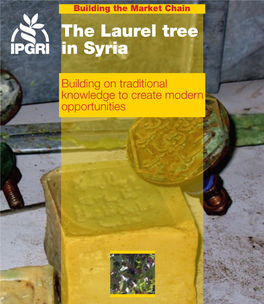 The Laurel Tree in Syria