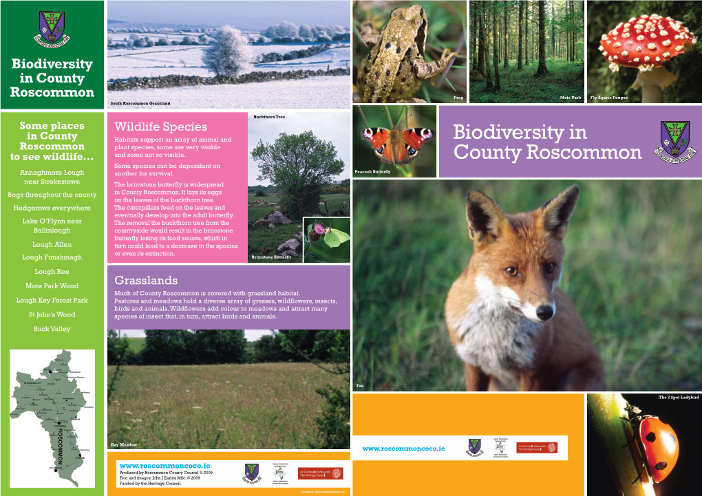 Biodiversity in County Roscommon