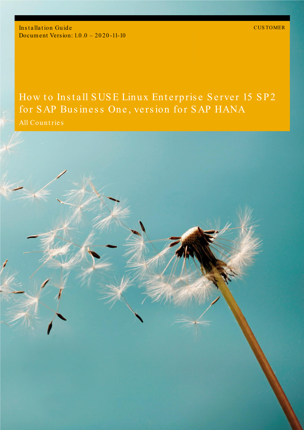 How to Install SUSE Linux Enterprise Server 15 SP2 for SAP Business One, Version for SAP HANA All Countries Typographic Conventions