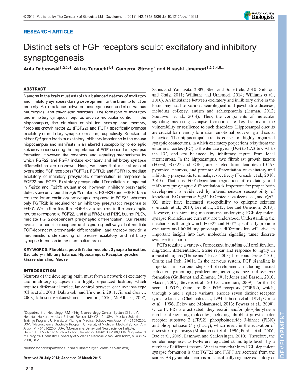 Distinct Sets of FGF Receptors Sculpt Excitatory and Inhibitory