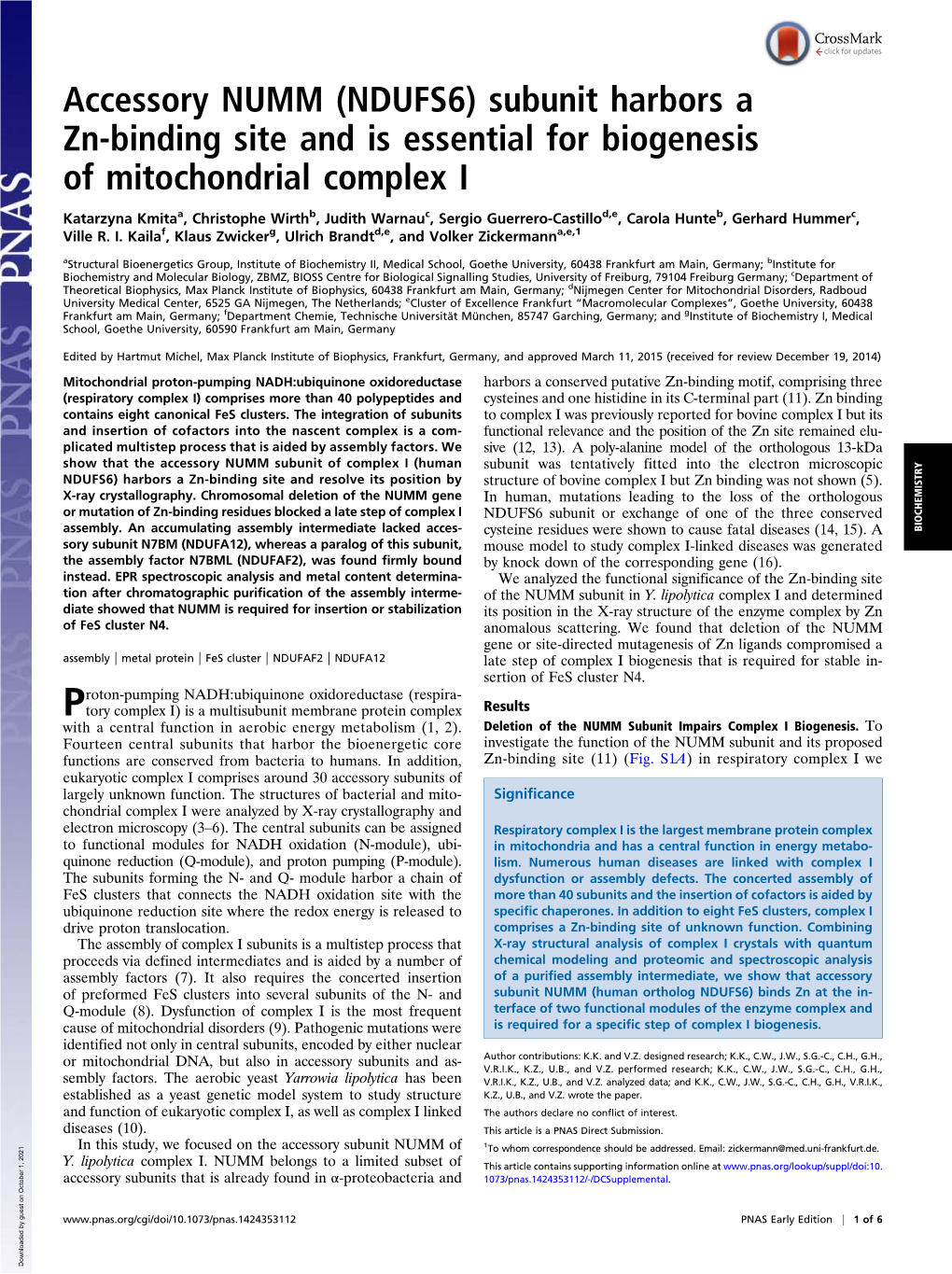 Accessory NUMM (NDUFS6) Subunit Harbors a Zn-Binding Site and Is Essential for Biogenesis of Mitochondrial Complex I