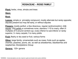 Rosaceae – Rose Family