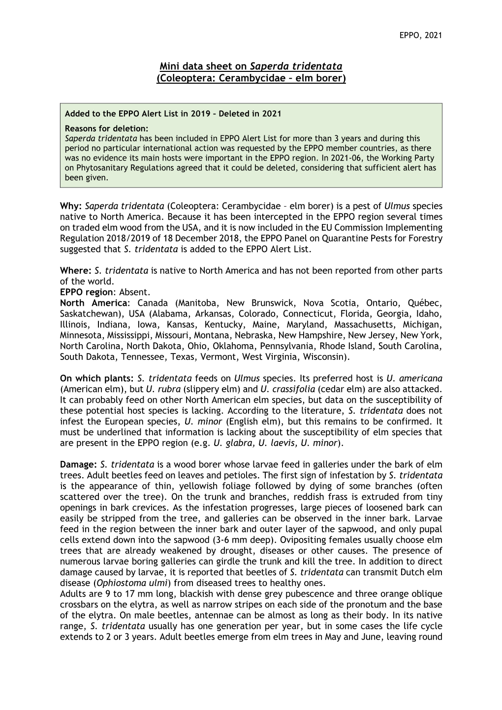 Mini Data Sheet on Saperda Tridentata (Coleoptera: Cerambycidae – Elm Borer)