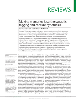 The Synaptic Tagging and Capture Hypothesis