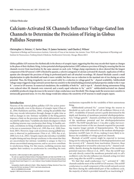 Calcium-Activated SK Channels Influence Voltage-Gated Ion Channels to Determine the Precision of Firing in Globus Pallidus Neurons