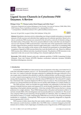 Ligand Access Channels in Cytochrome P450 Enzymes: a Review