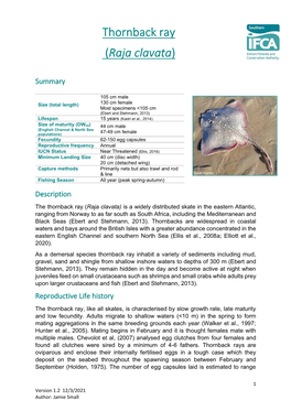 Thornback Ray (Raja Clavata)