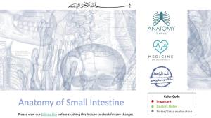 Anatomy of Small Intestine Doctors Notes Notes/Extra Explanation Please View Our Editing File Before Studying This Lecture to Check for Any Changes