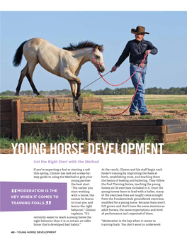 Young Horse Development Get the Right Start with the Method