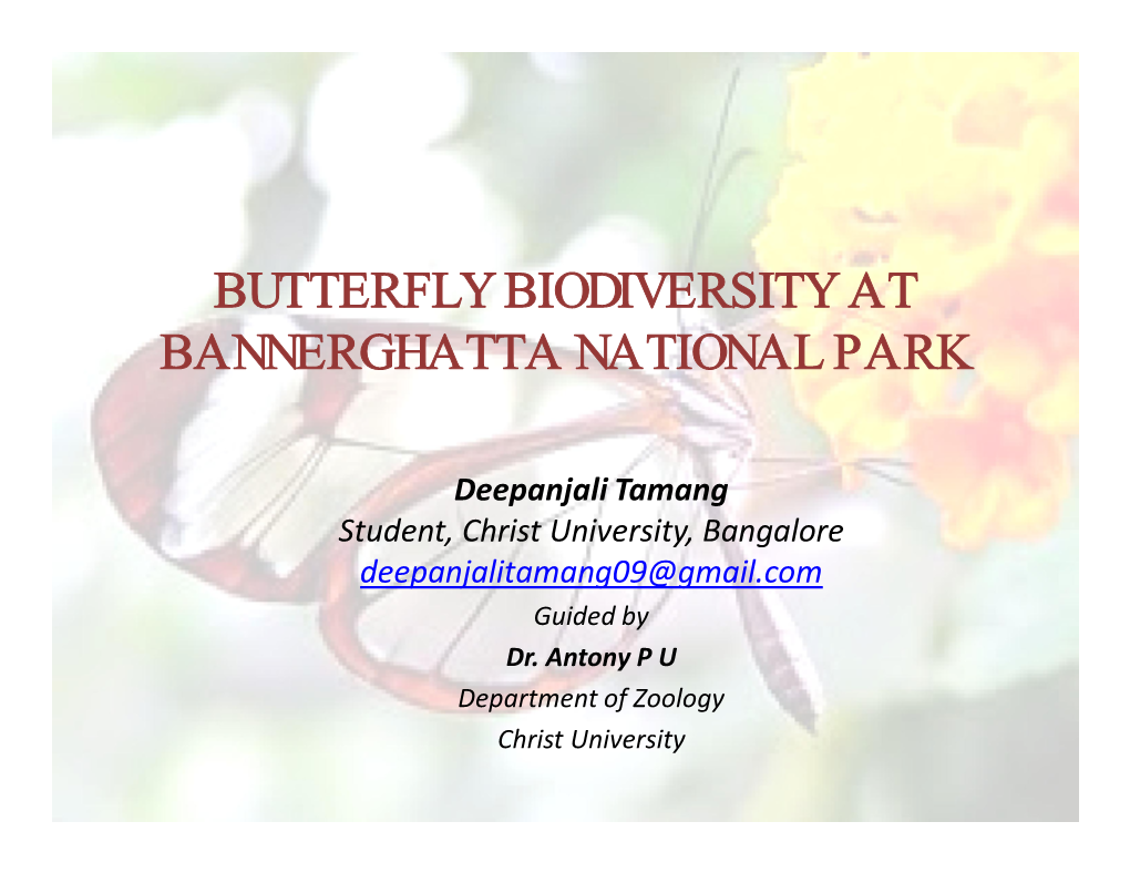 Catopsilia Pomona (Common Emigrant) and the Papilio Polytes (Common Mormon) Were Seen in Abundance