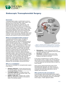 Endoscopic Transsphenoidal Surgery
