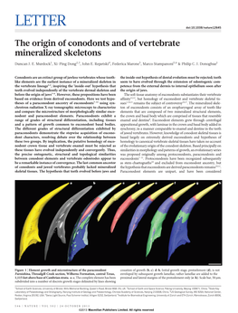 The Origin of Conodonts and of Vertebrate Mineralized Skeletons