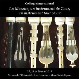 La Musette, Un Instrument De Cour, Un Instrument Tout Court