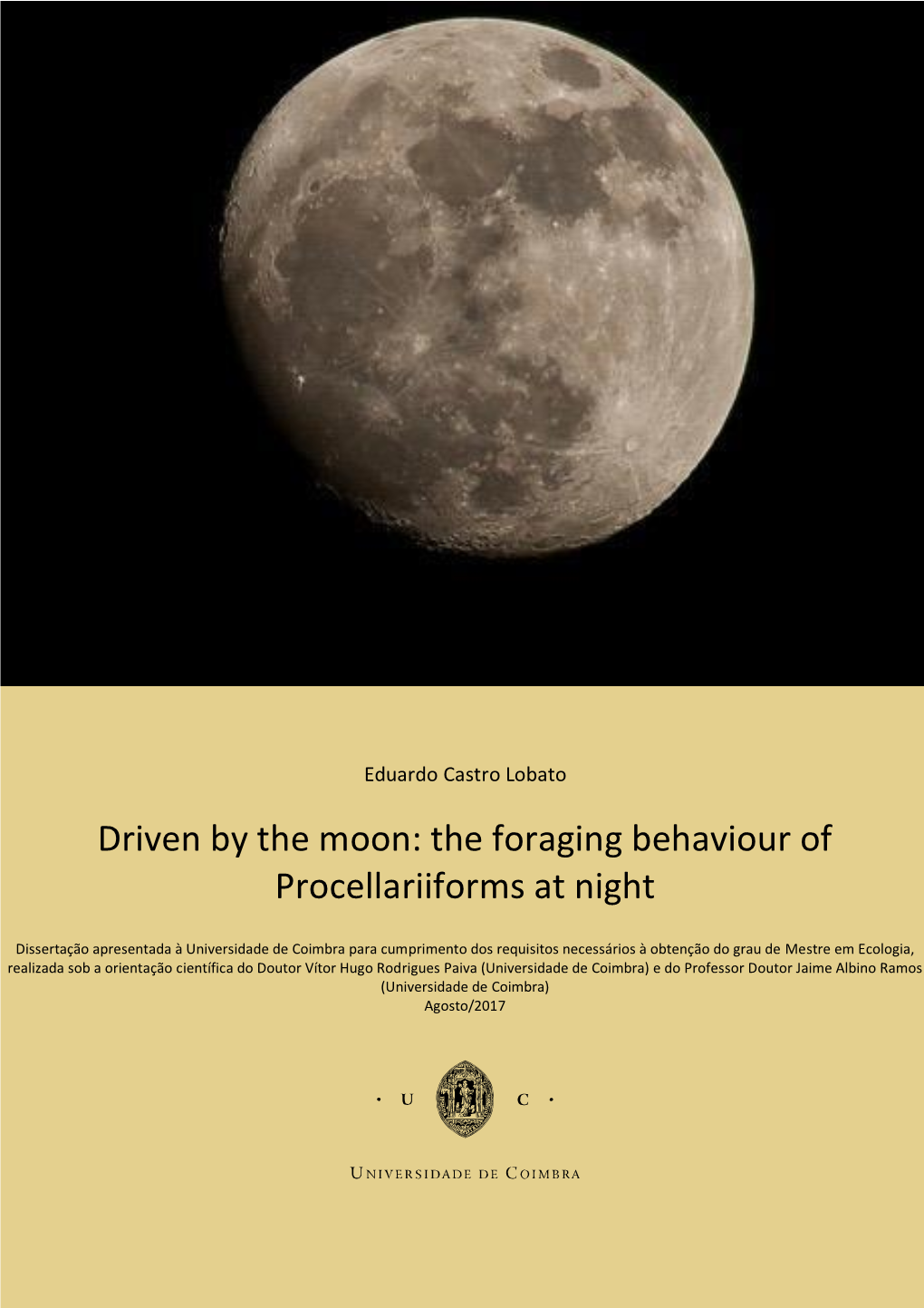 Driven by the Moon: the Foraging Behaviour of Procellariiforms at Night