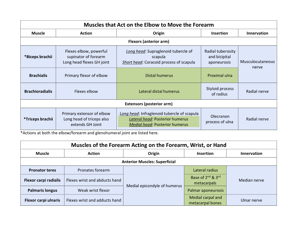 Muscle Chart 2