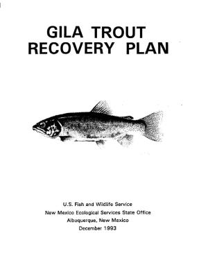 Gila Trout Recovery Plan