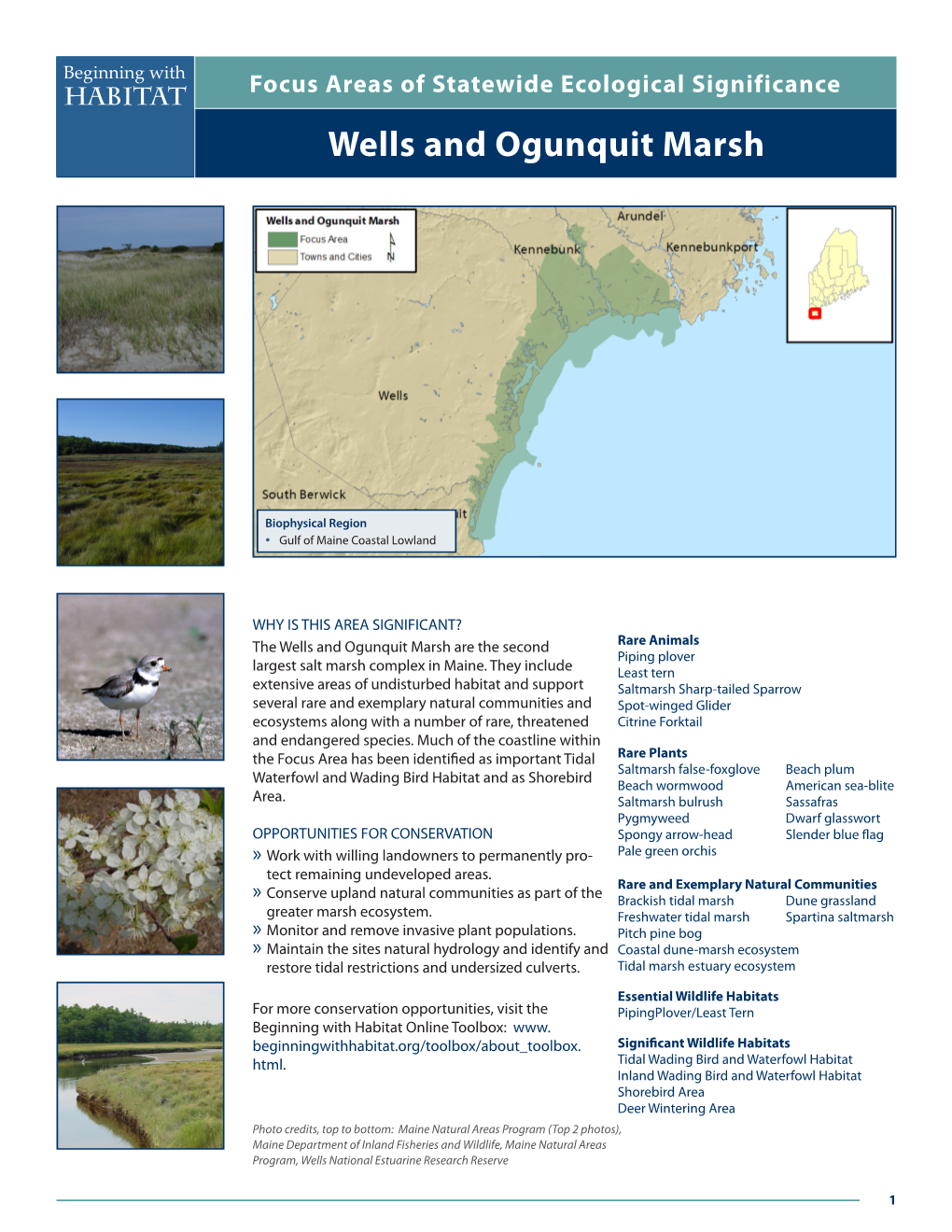 Wells and Ogunquit Marsh Beginning with Focus Areas of Statewide Ecological Significance Habitat Wells and Ogunquit Marsh