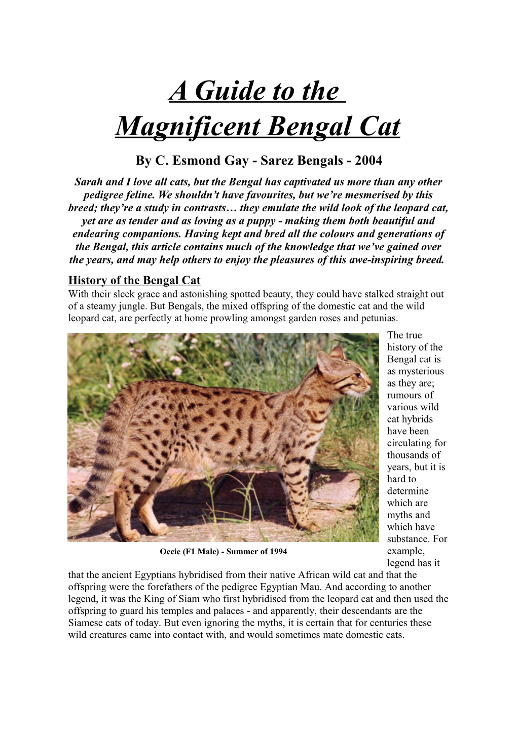 A Guide to the Magnificent Bengal Cat by C